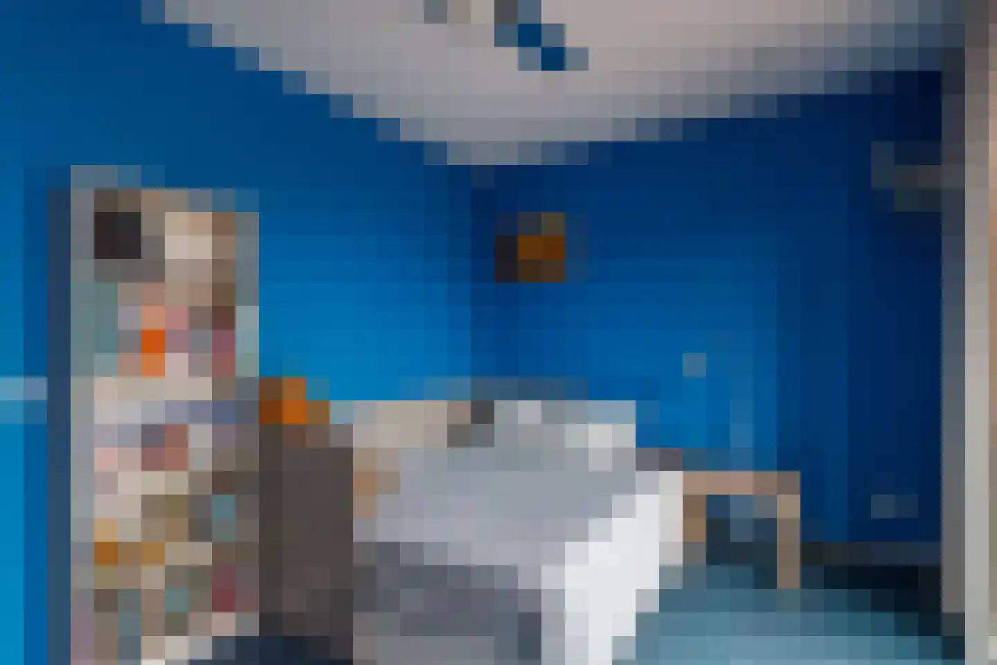 Truffelzwam 31 Vleuten thumbnail 18