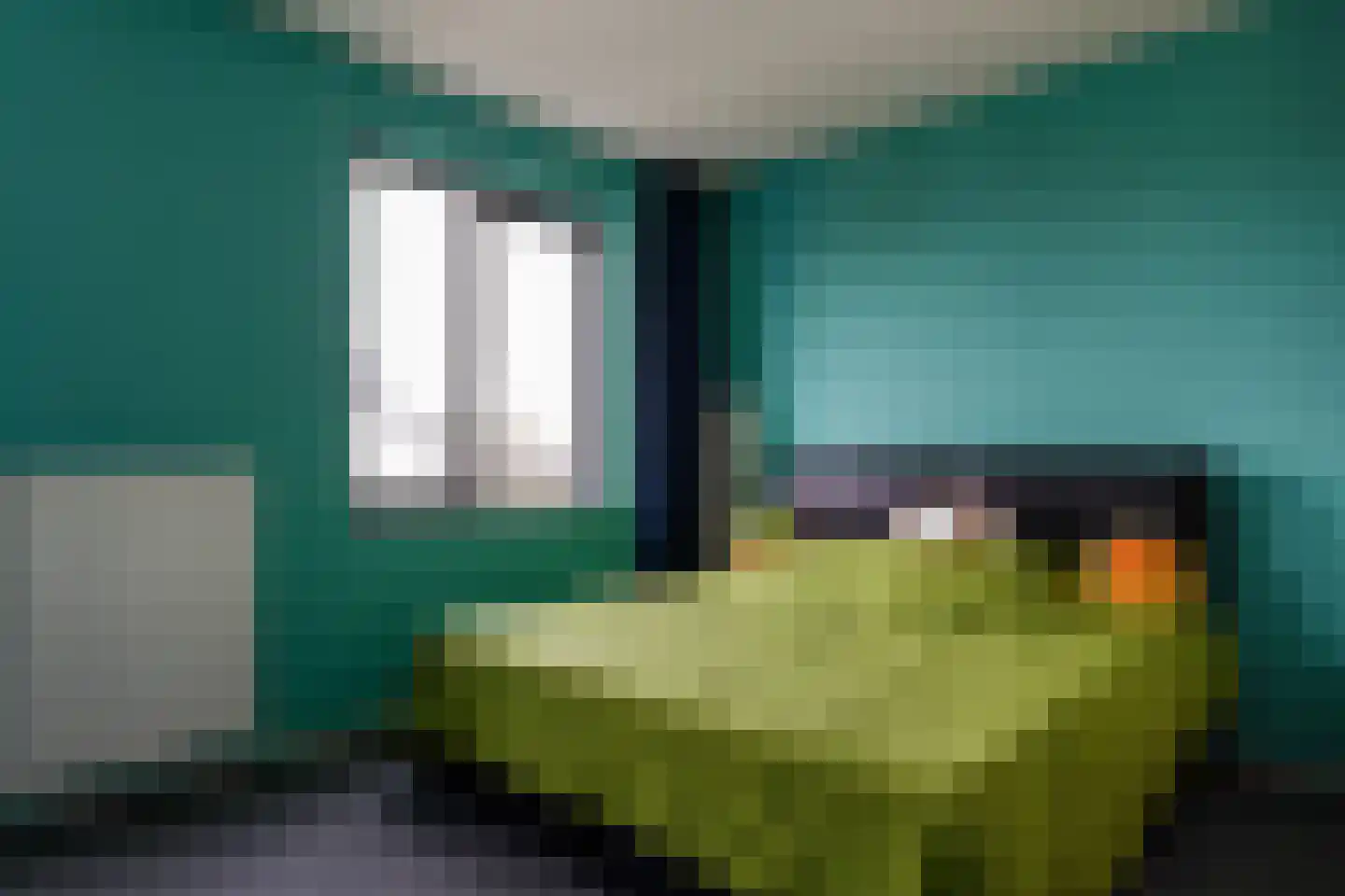 Truffelzwam 31 Vleuten thumbnail 21