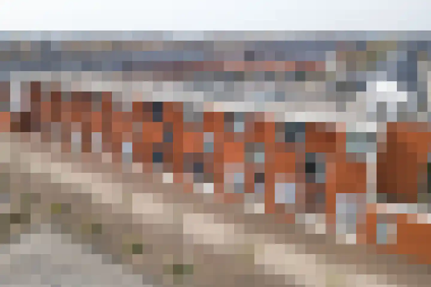 Truffelzwam 31 Vleuten thumbnail 26