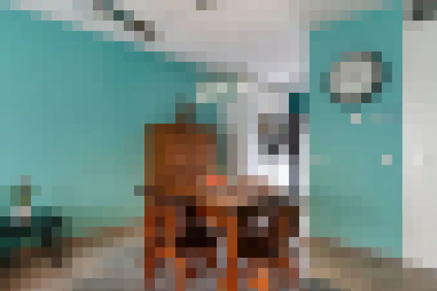 Truffelzwam 31 Vleuten thumbnail 9