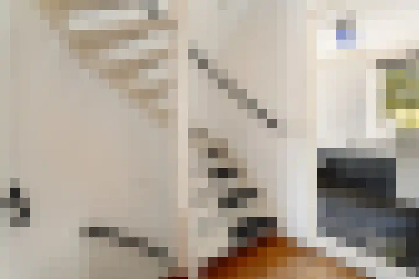 Truitje Toussaintdreef 23 Goirle thumbnail 13