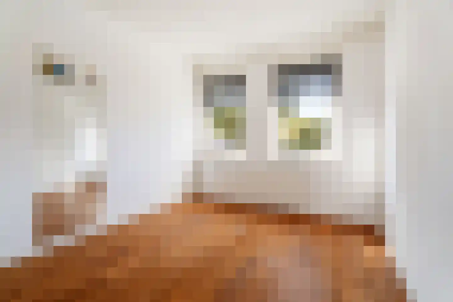 Truitje Toussaintdreef 23 Goirle thumbnail 16