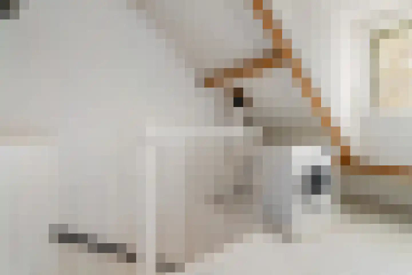 Truitje Toussaintdreef 23 Goirle thumbnail 23