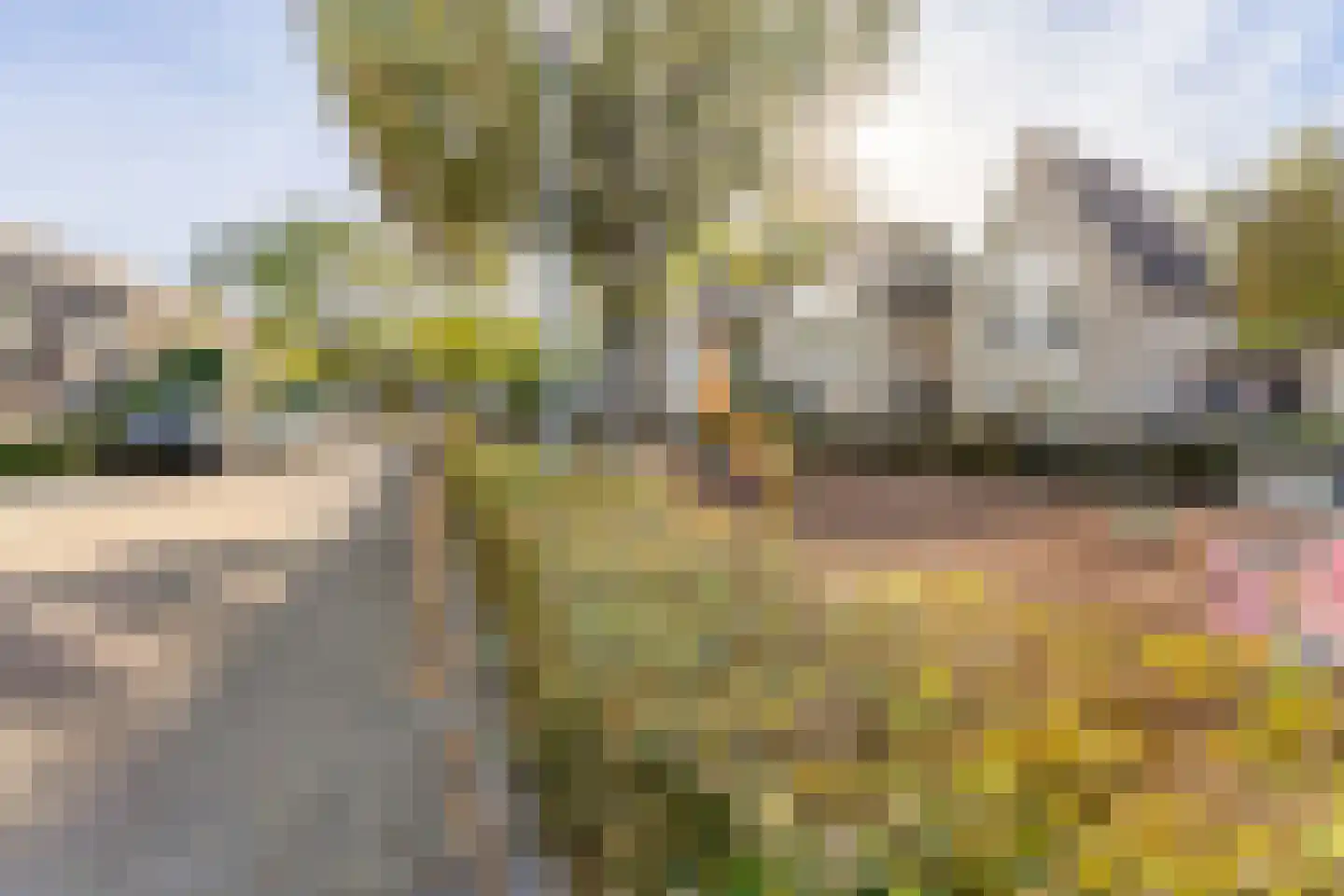 Truitje Toussaintdreef 23 Goirle thumbnail 33