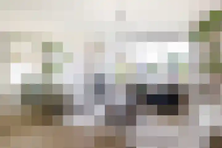 Trumandreef 22 Ede foto 2