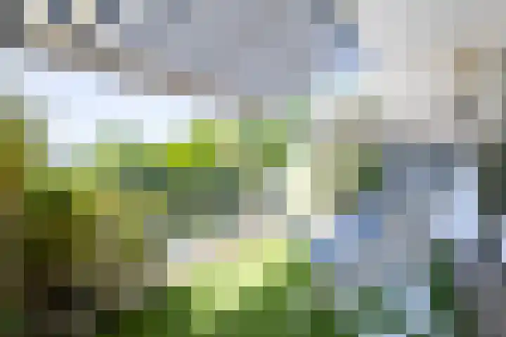 Trumandreef 22 Ede thumbnail 29