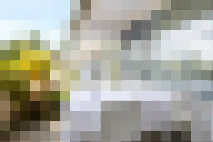 Trumandreef 22 Ede thumbnail 31