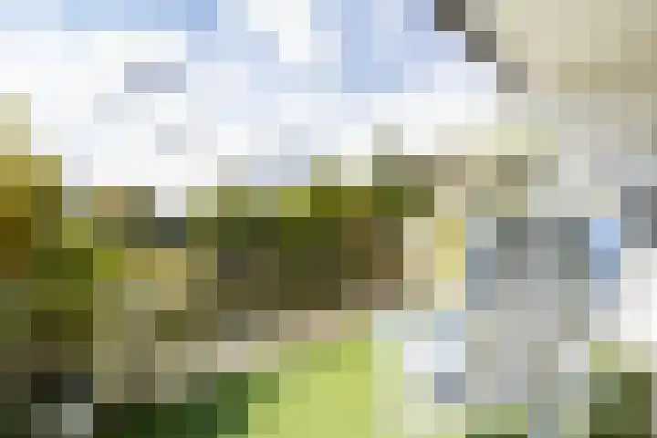 Trumandreef 22 Ede thumbnail 33