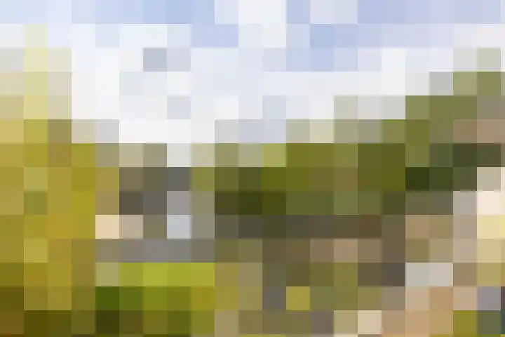 Trumandreef 22 Ede thumbnail 34