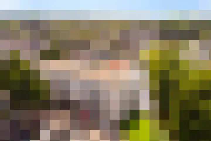 Trumandreef 22 Ede thumbnail 36