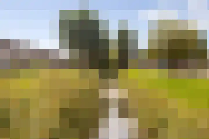 Trumandreef 22 Ede thumbnail 37