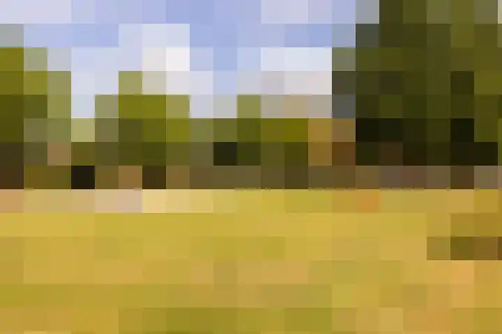 Trumandreef 22 Ede thumbnail 38