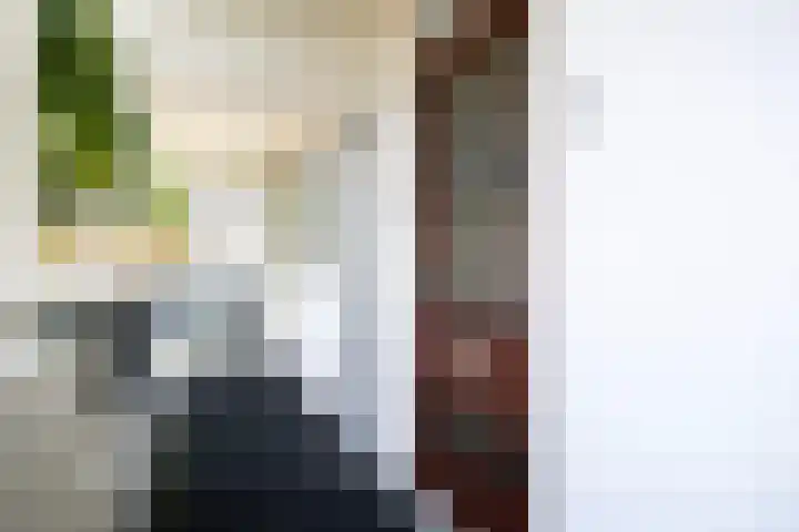 Trumandreef 22 Ede thumbnail 8