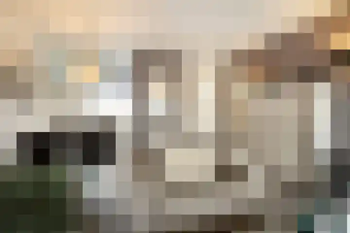 Trumandreef 32 Ede thumbnail 14