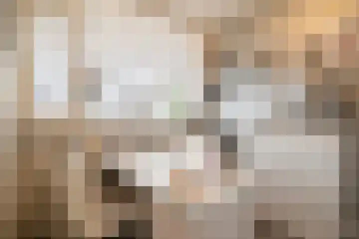 Trumandreef 32 Ede thumbnail 24