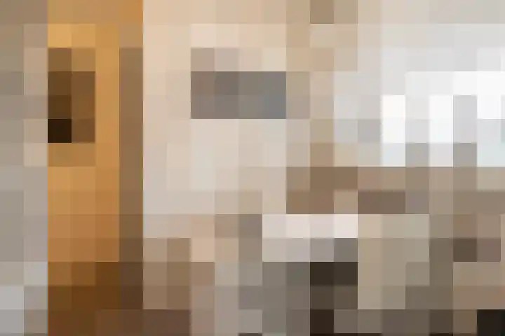 Trumandreef 32 Ede thumbnail 25