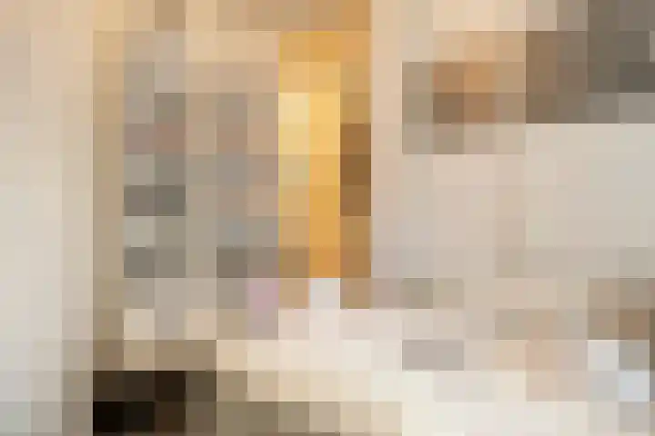 Trumandreef 32 Ede thumbnail 26
