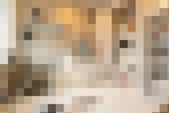 Trumandreef 32 Ede thumbnail 27