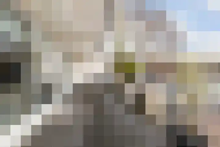 Trumandreef 32 Ede thumbnail 31