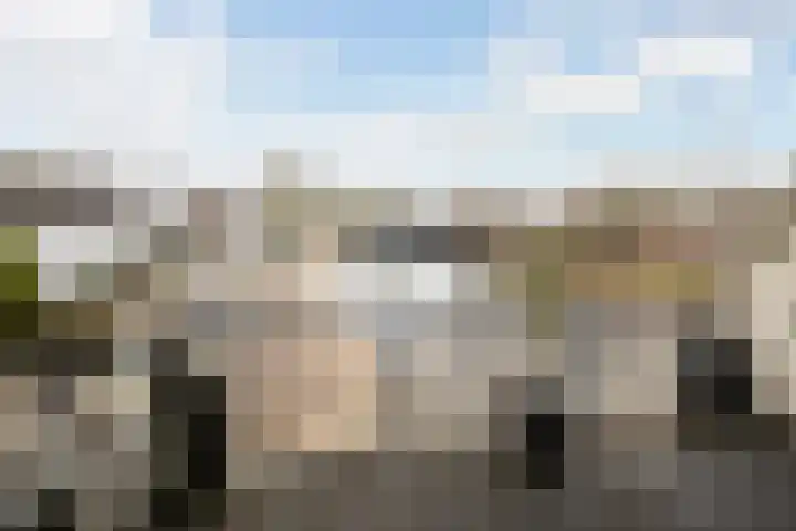 Trumandreef 32 Ede thumbnail 33