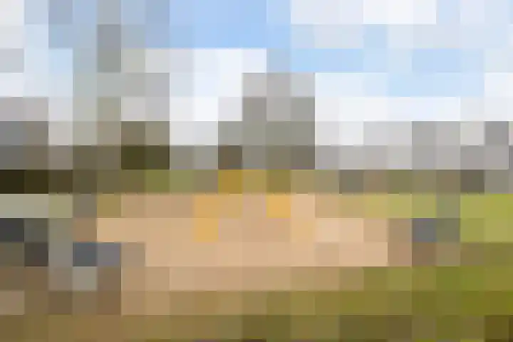 Trumandreef 32 Ede thumbnail 36