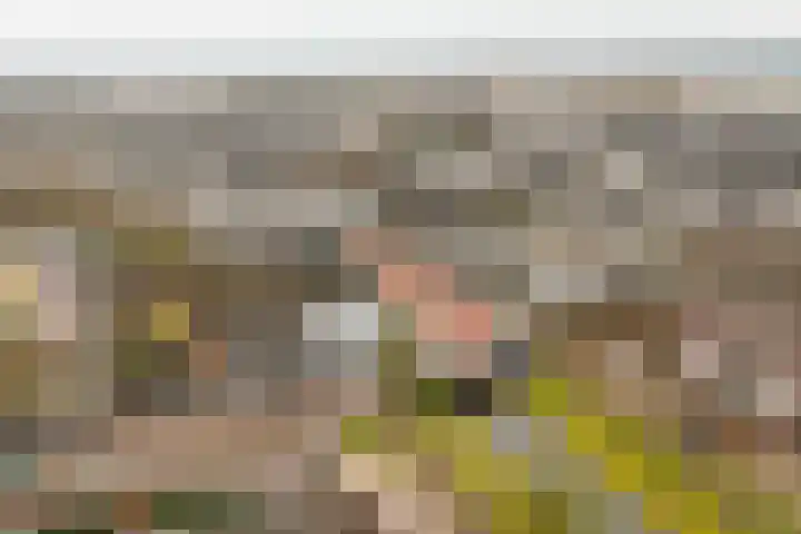 Trumandreef 32 Ede thumbnail 37