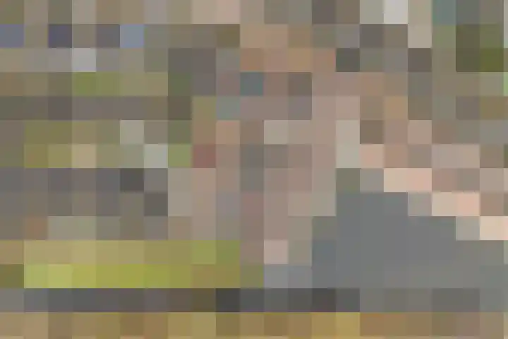 Trumandreef 32 Ede thumbnail 39