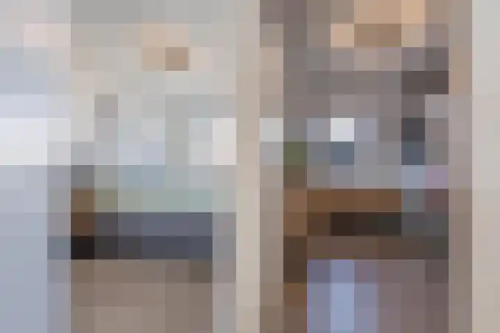 Trumandreef 89 Ede thumbnail 30