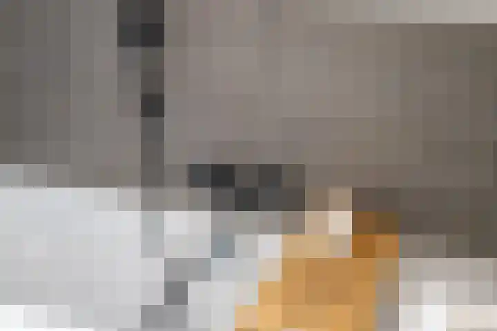 Trumandreef 89 Ede thumbnail 34