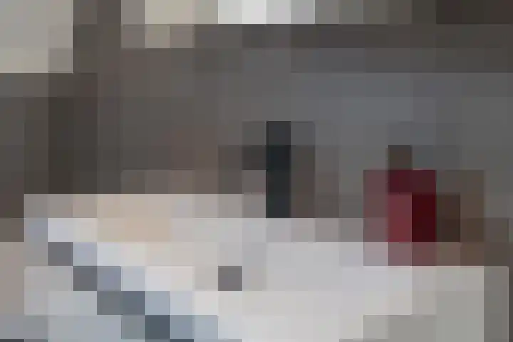 Trumandreef 89 Ede thumbnail 35