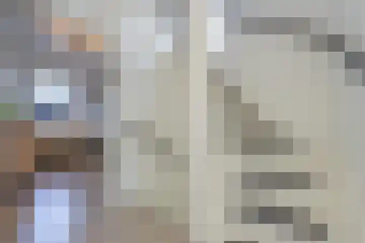 Trumandreef 89 Ede thumbnail 36