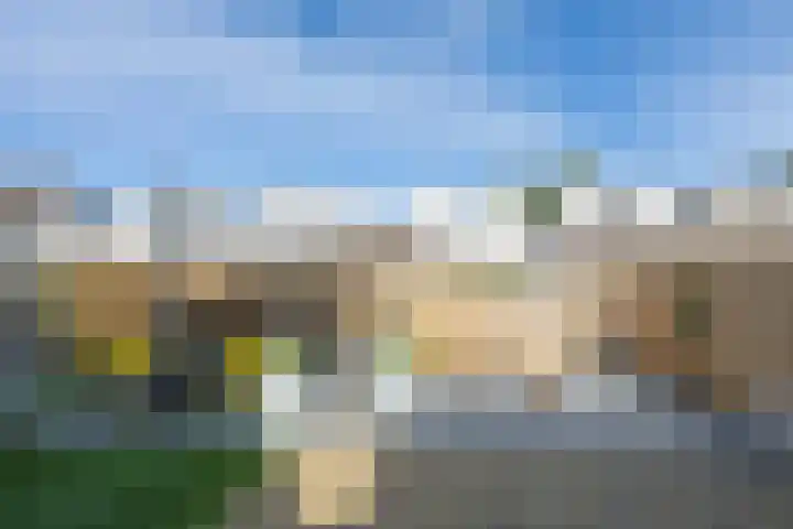 Trumandreef 89 Ede thumbnail 45