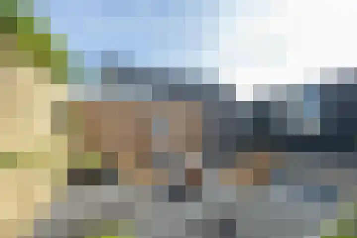 Trumandreef 89 Ede thumbnail 47