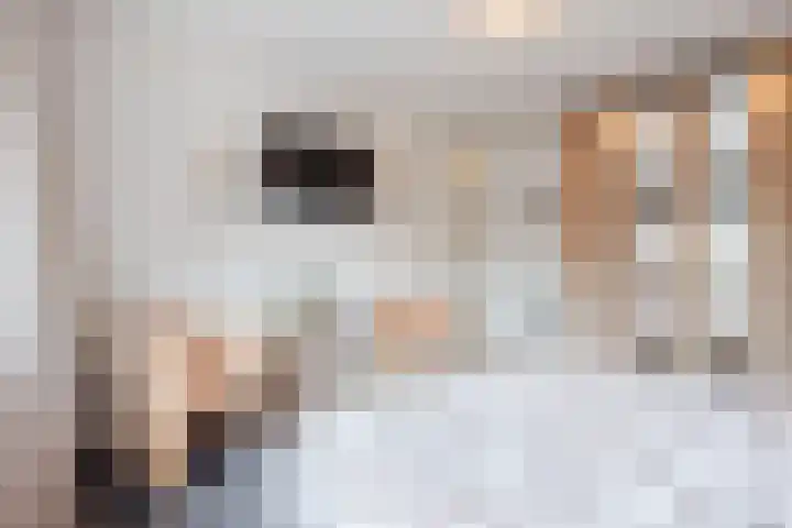 Trumanlaan 13 Harderwijk thumbnail 20