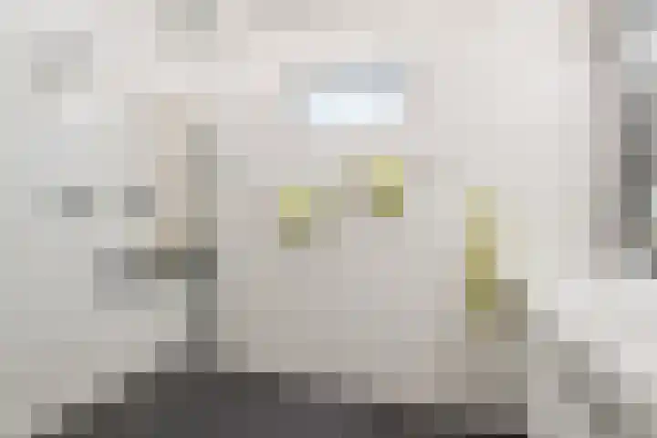 Trumanlaan 13 Harderwijk thumbnail 26