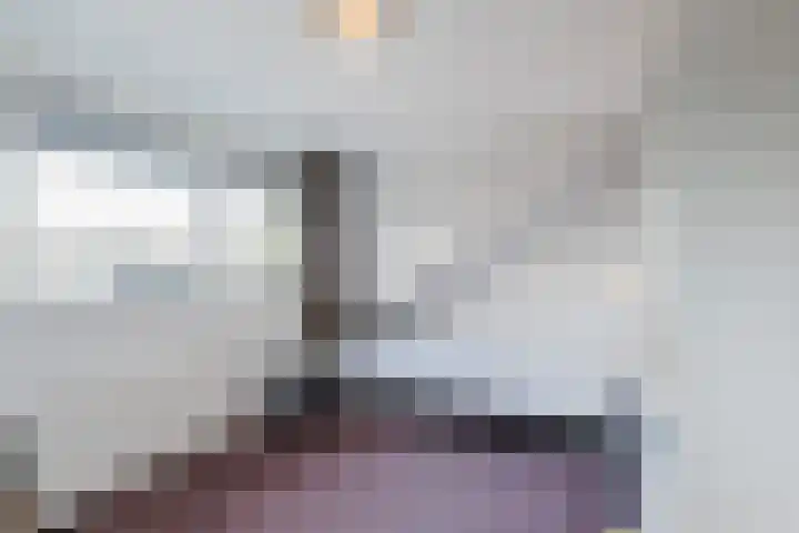 Trumanlaan 13 Harderwijk thumbnail 32