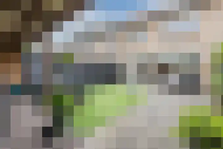 Trumanlaan 13 Harderwijk thumbnail 43