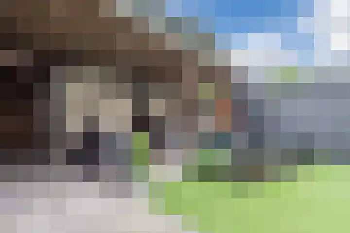 Trumanlaan 13 Harderwijk thumbnail 45