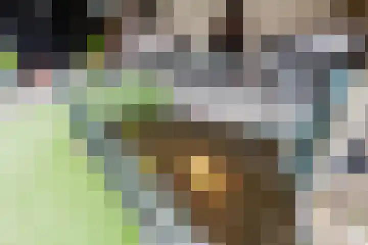Trumanlaan 13 Harderwijk thumbnail 48