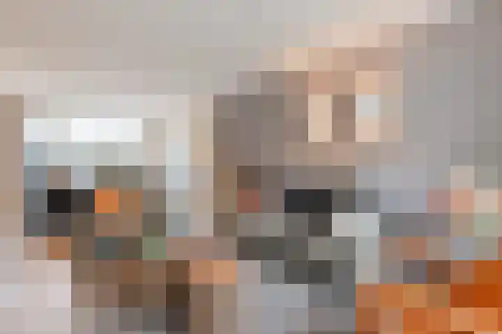 Trumanlaan 13 Harderwijk thumbnail 7