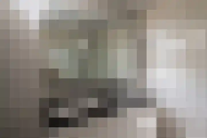Trumanlaan 20 Harderwijk thumbnail 31