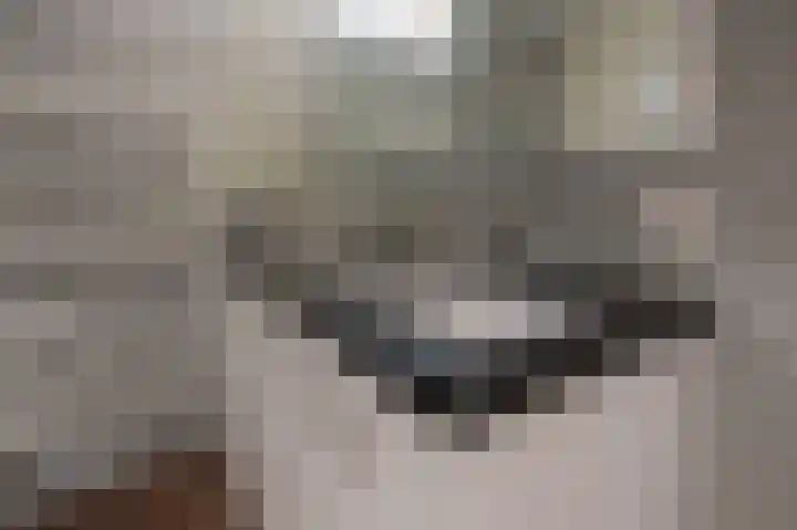 Trumanlaan 20 Harderwijk thumbnail 32