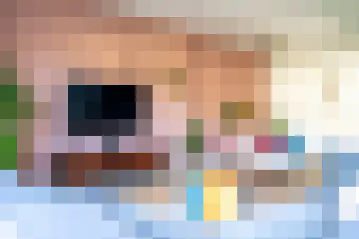 Trumanlaan 20 Harderwijk thumbnail 4