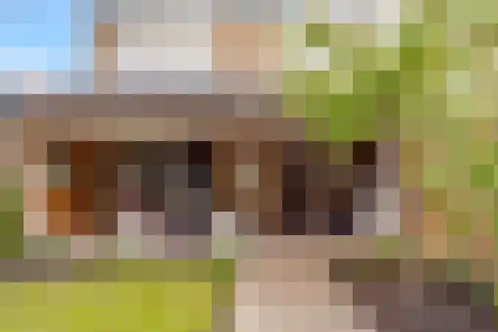 Trumanlaan 281 Utrecht thumbnail 21