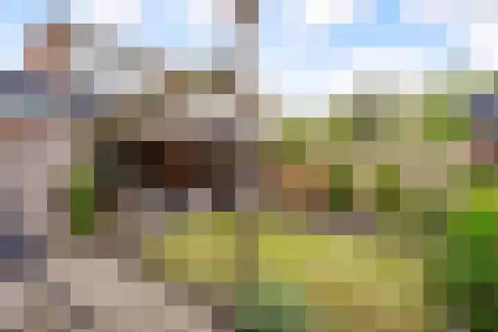 Trumanlaan 281 Utrecht thumbnail 26