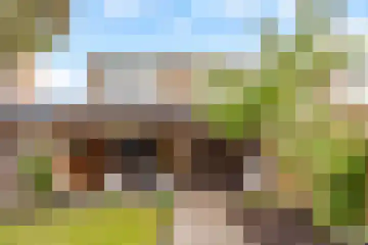 Trumanlaan 281 Utrecht thumbnail 27