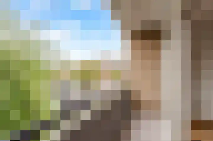 Trumanlaan 281 Utrecht thumbnail 35