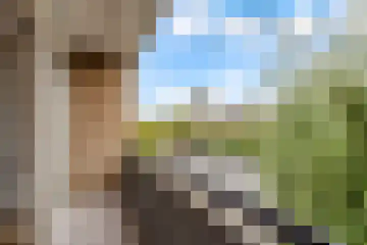 Trumanlaan 281 Utrecht thumbnail 36