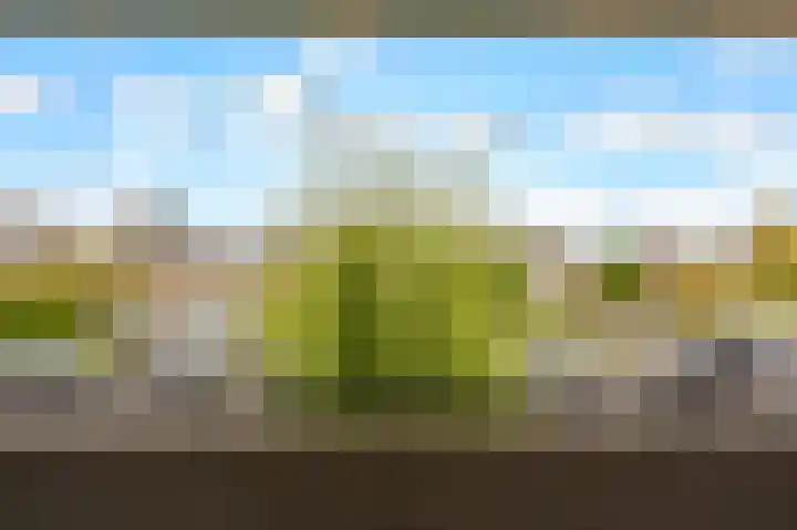 Trumanlaan 281 Utrecht thumbnail 37