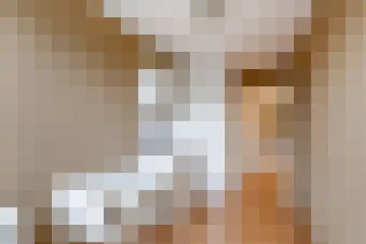 Trumanlaan 281 Utrecht thumbnail 41